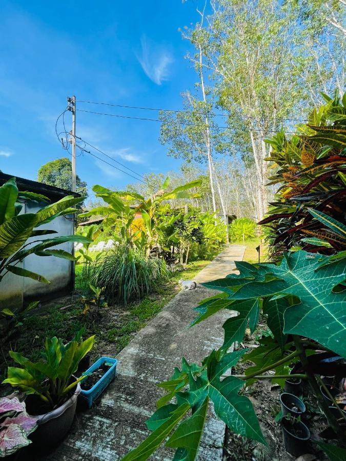 Lok Mun Bungalows Ko Yao Noi Eksteriør bilde